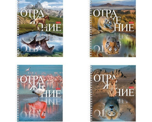 Тетрадь А5 48л клетка на спирали "Отражение" Hatber